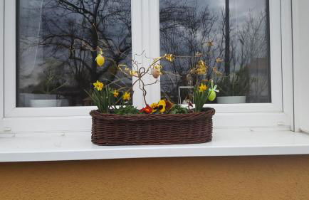 Ferienwohnung Bleicherode - Foto 15