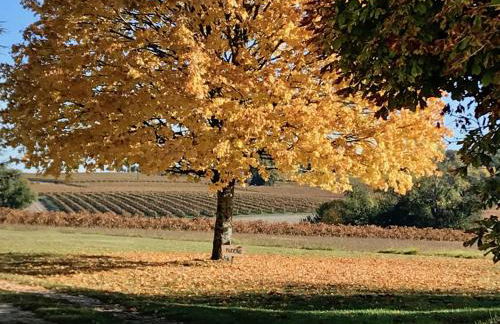 Le Pigeonnier Gite - Foto 6
