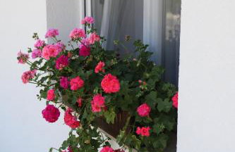 Studio apartman IVAN - Foto 22