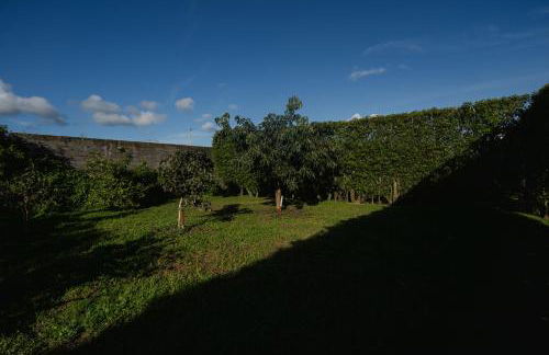 Quinta do Ferreiro - Photo 57