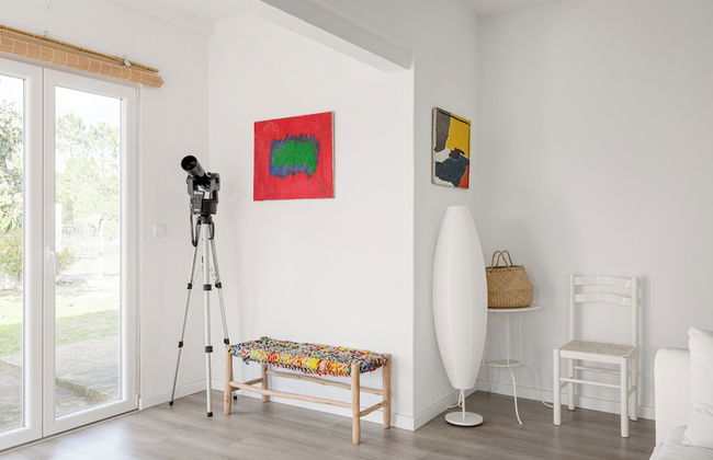 Pinhal da Praia em Melides - Foto 20