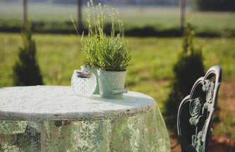 Lawendowy Raj - Foto 73