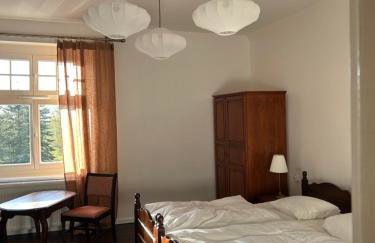 Pałac Pozorty - Foto 8