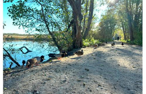 Apartament Pięć Mórz z basenem - Foto 45