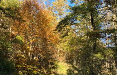 Tuscany Nature Relax - Photo 23