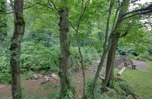 Tranquil Creekside Cabin in Dutch Country! - Foto 32