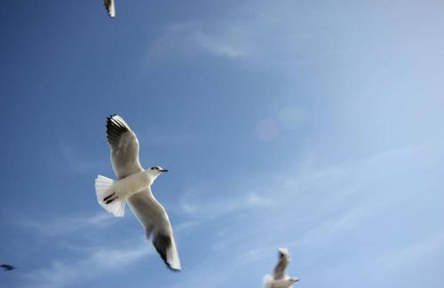 Müritzbrise 3 - Foto 23