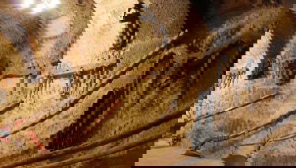 Visite du musée du vin d'Aranda de Duero