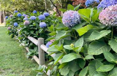 Wedgewood Cottage - Photo 23