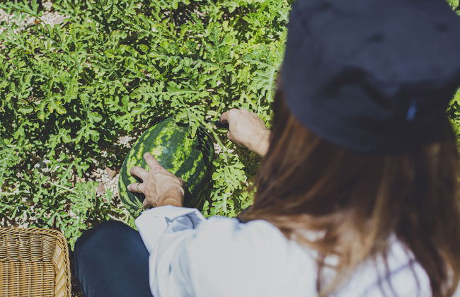 Latchi Escape Hotel & Suites - Foto 36