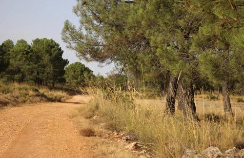 Esencia Lodge - luxurious off-grid cabin retreat - Foto 29