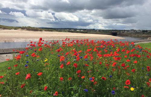 The Jewel of the Moray Firth - Foto 21