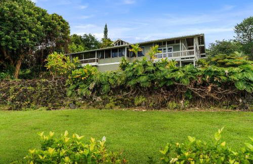 Orchid Hale - Foto 33