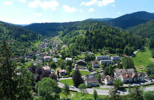 Ferienwohnungen in Schönmünzach - Photo 29