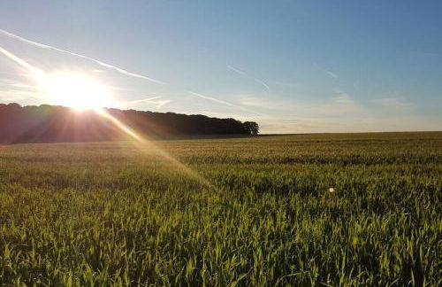 Gîte La Châtelaine 4 Épis - Photo 18