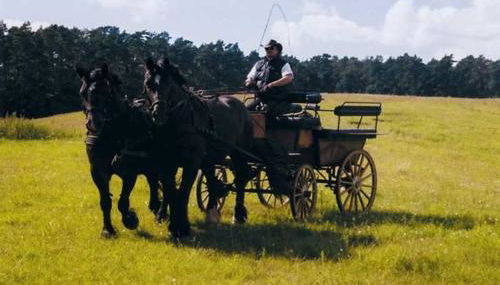 Landhaus Damerow 1 - Foto 5