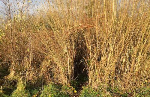 Fermanagh lakeside Self Catering - Foto 24