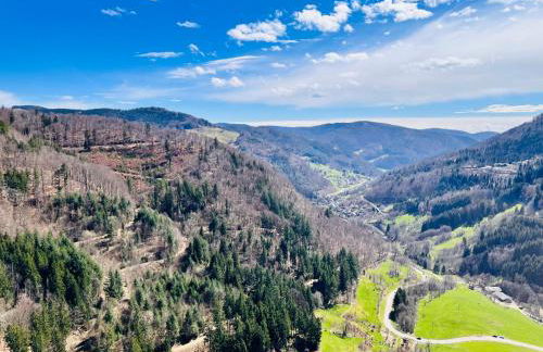 2-Zimmerapartment an der Schweizer Grenze - Foto 16