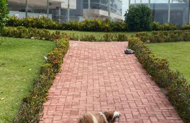 Apartamento Enseada Azul - Foto 19