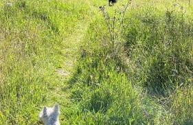 Loch Lomond Apartment - Foto 23