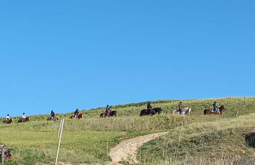 VerdeMare - Photo 35