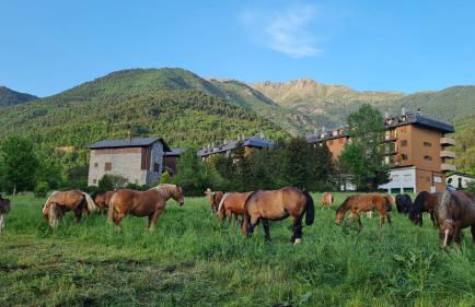 Apartament Vent de Port - Foto 36