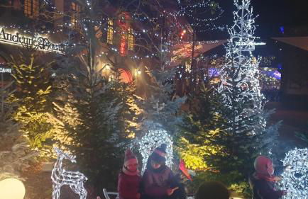 Meublés du 25 N3 Studio 1er Etage - Foto 38