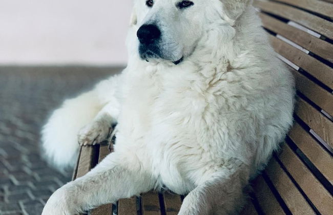 Fattoria Lucciano - Foto 47