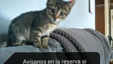 Alojamiento Quintanilla - Foto 2