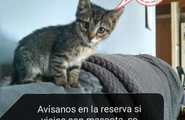 Alojamiento Quintanilla - Foto 2