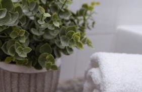 Eido do Luou - Casa de férias com piscina - Foto 66