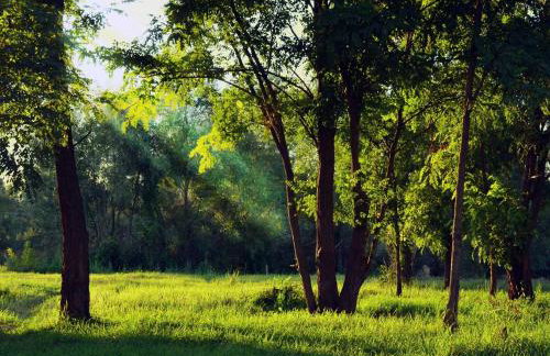 Agroturystyka Na Końcu Świata - Foto 28