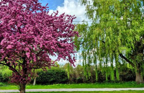 Secluded 16th Century Farmhouse with private grounds - Foto 4