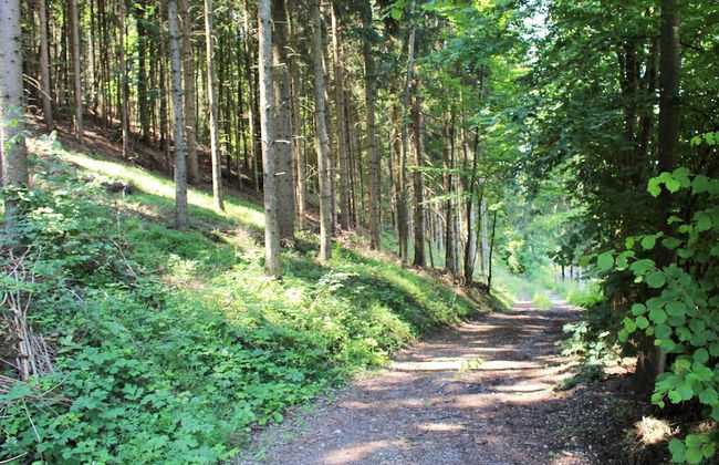Cozy Apartment in Köttmannsdorf near Lake - Photo 32