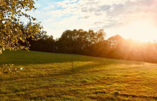 Ferienwohnung Hänel - Foto 22