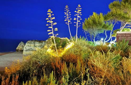 Apartamento Jeni Residencia Flamingo - Photo 17