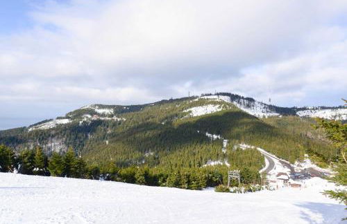 Ferienwohnung Fürstenkopf - Foto 28