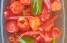 Górska Polana, Stronie Śląskie - Młynowiec - Foto 41