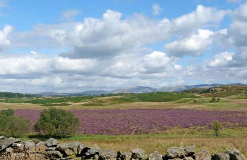 The Granary - Foto 15