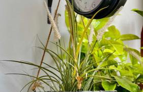 Elegant Glyfada Apartment-private Garden-Near METRO - Foto 26