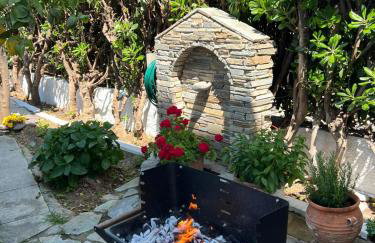 Sea front house & garden, Oropos - Foto 51