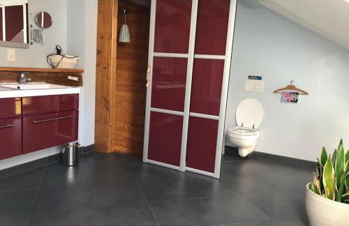 Gîte Au Pradin échappée nature et détente spa - Foto 31