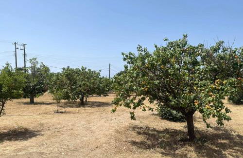 Aegean Endless Summer Villa Pefkos - Foto 50