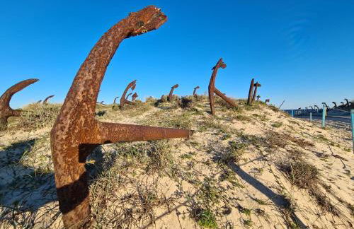 Pedras d'el Rei - Casa Mira - Foto 16