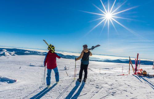 Altes Forsthaus - Fewo "Wiesental", privater "Spa" mit Sauna, Wanne und Relaxliegen, Todtnau- Feldberg - Foto 30