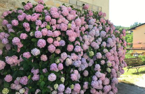 Casa Ortensia - Foto 9