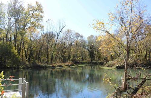 The Varnadoe Villa- Farm Stay - Foto 58