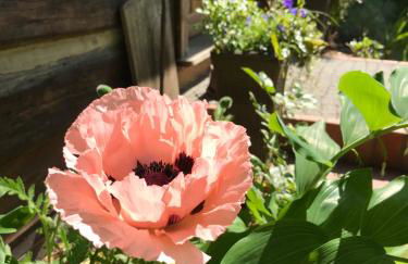 Spreewaldinsel Leipe - Foto 35