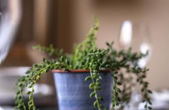 Muirhead House - Foto 35