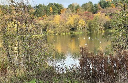 The Corner House - Foto 34